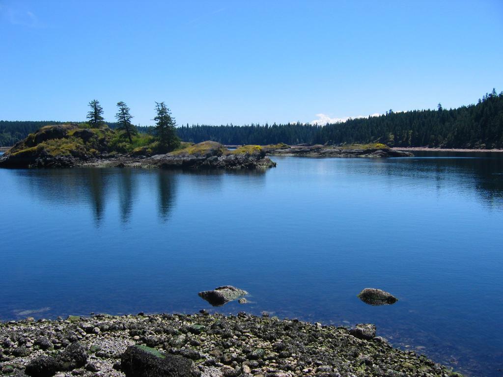 Gowlland Harbour Resort Heriot Bay Chambre photo